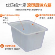 塑胶水箱 牛筋方箱 PE塑料箱 熟胶箱 水产养殖箱 鱼虾饲养盆厂家供应