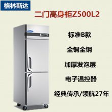 格林斯达商用冰箱 Z500L2二门单温冷冻冰箱 不锈钢低温高身雪柜 星星标准B款冷柜