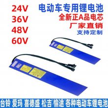 外贸品质银鱼款锂电池 电动自行车外卖车 24V 36V 48v 动力锂电池组