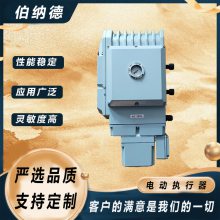 小口径蝶阀电动装置 伯纳德 可调开度 DLE-100S DLE-200S