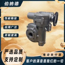 伯纳德 角行程阀门电动执行器 直连式安装 RJ1600/F28 RJ1600/K28