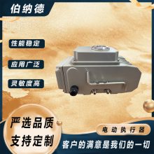 伯纳德 精小型电动执行器 对压阀开关型 BWQ-20 BWQ-25 BWQ-40