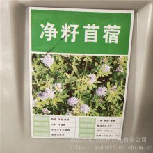 苜蓿种子 发芽*** 价格便宜 ***