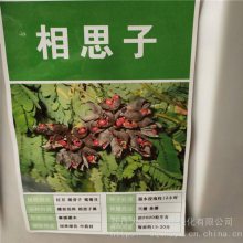 相思子种子 发芽率好 提供种植技术 支持快递发货