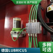 带电机三相立式380润滑  德国LUBRICUS 精密润滑泵  自动注油器